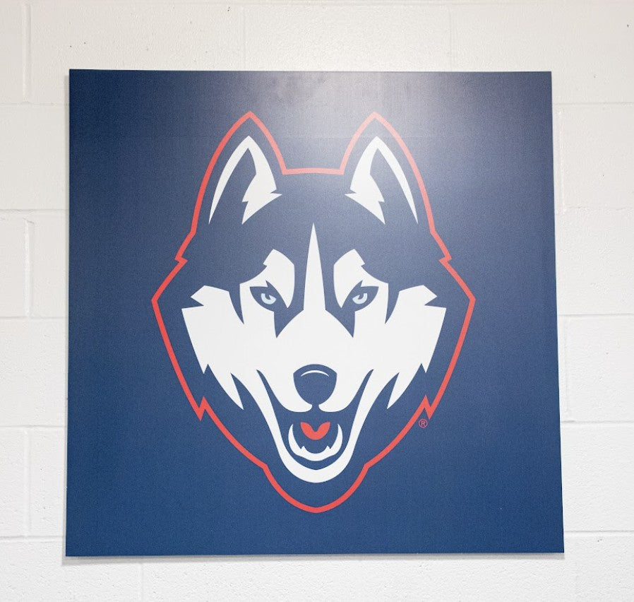 UConn Athletic Training Room Large Husky Wall Logo