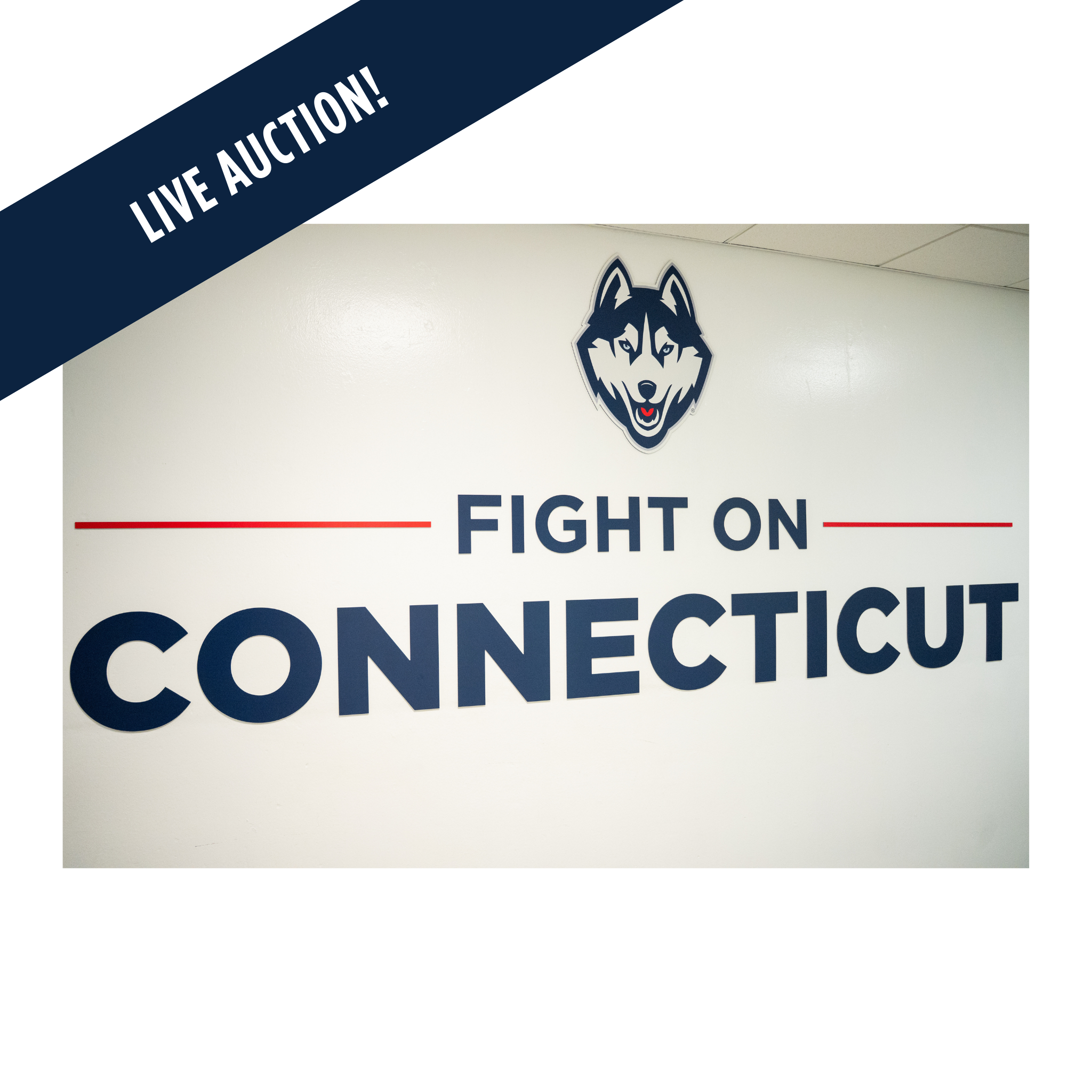 "Fight On Connecticut" Large Wall Sign