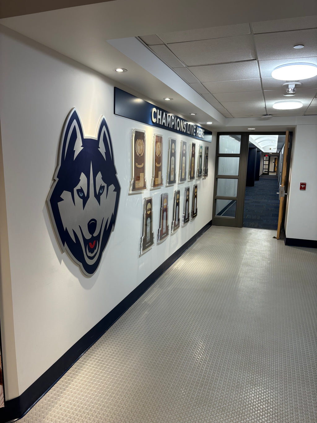 Metallic Husky Logo from Women’s Locker Room Exterior Wall