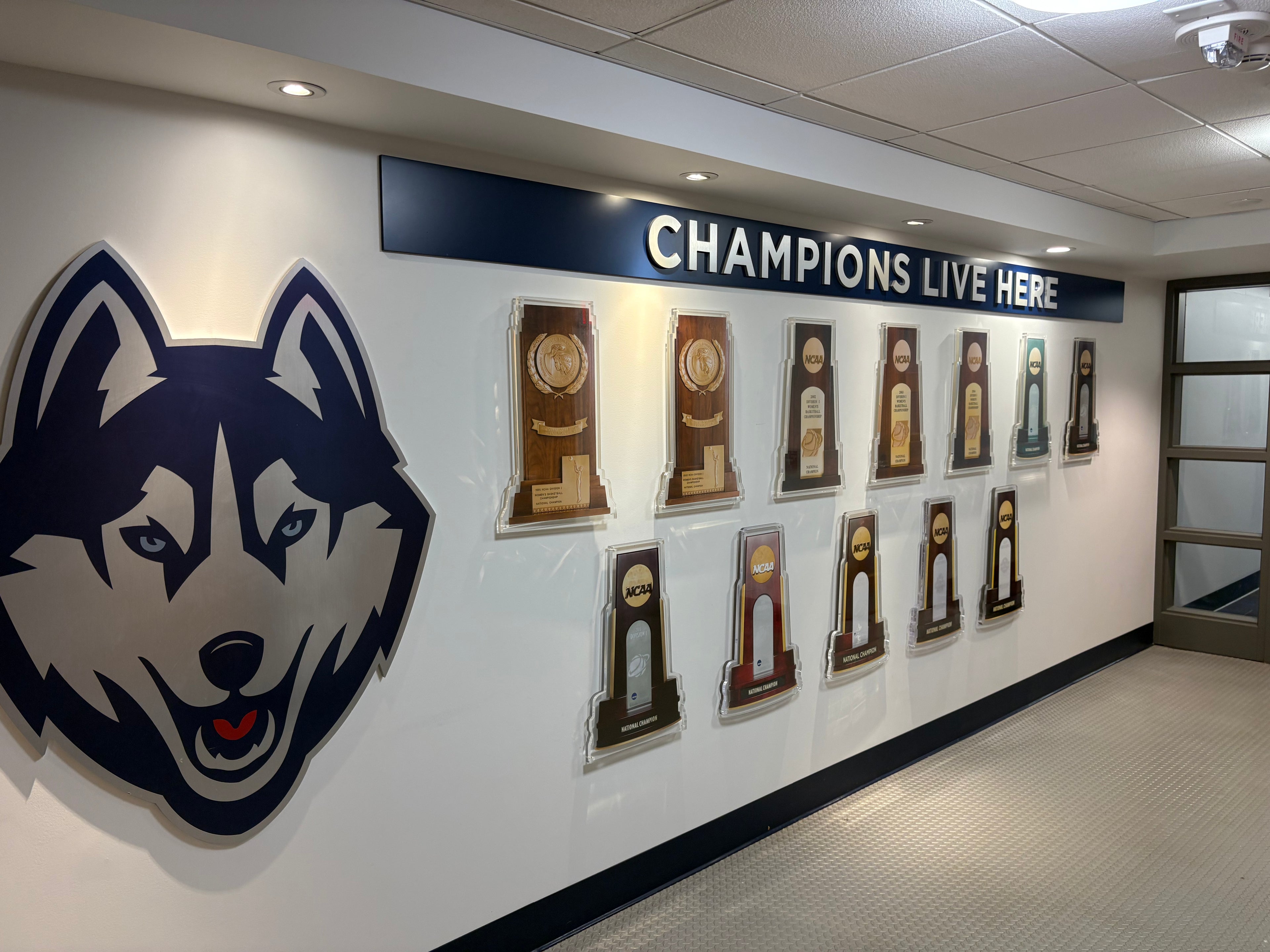 Metallic Husky Logo from Women’s Locker Room Exterior Wall