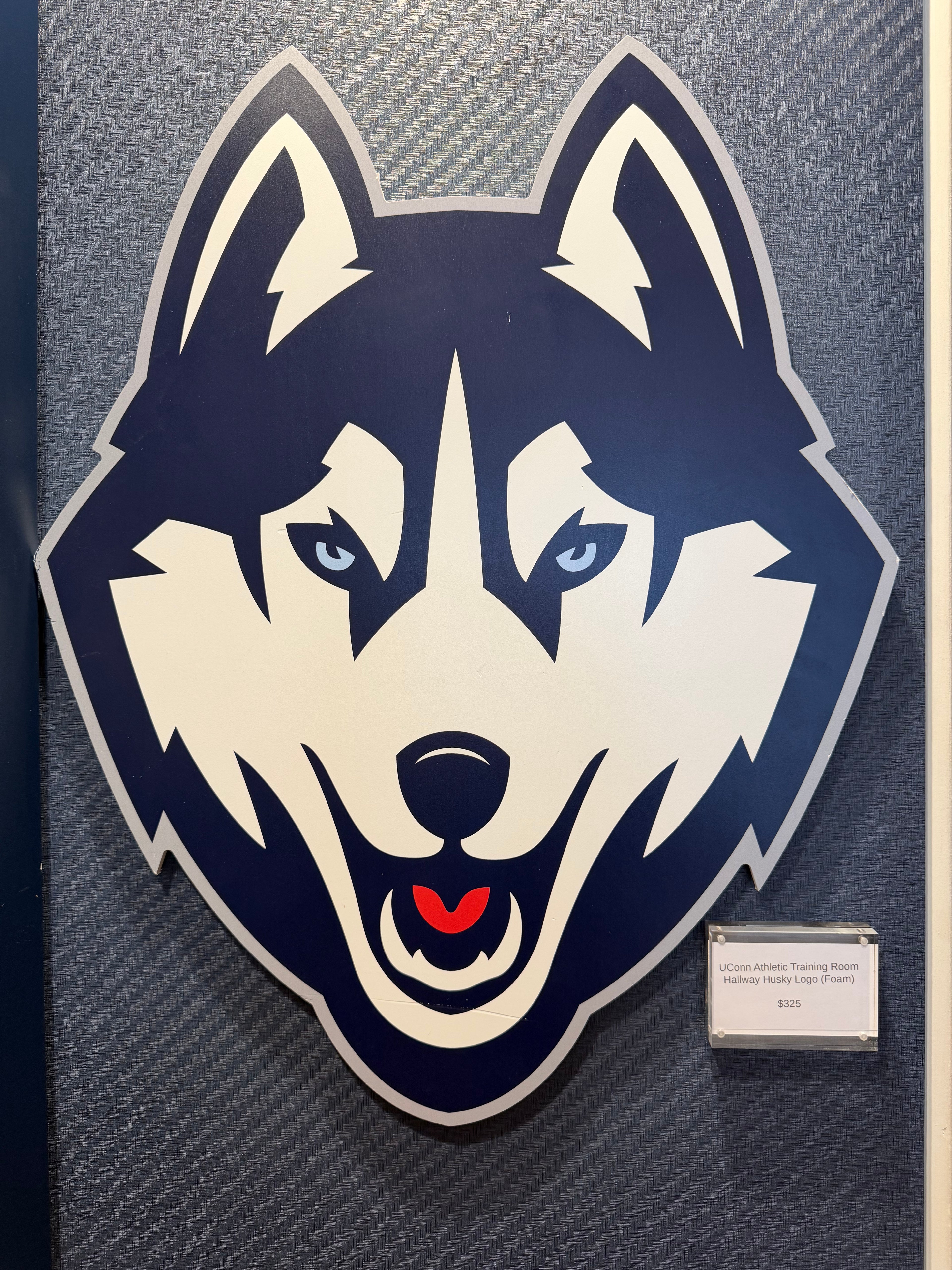 UConn Husky Logo from Athletic Training Room