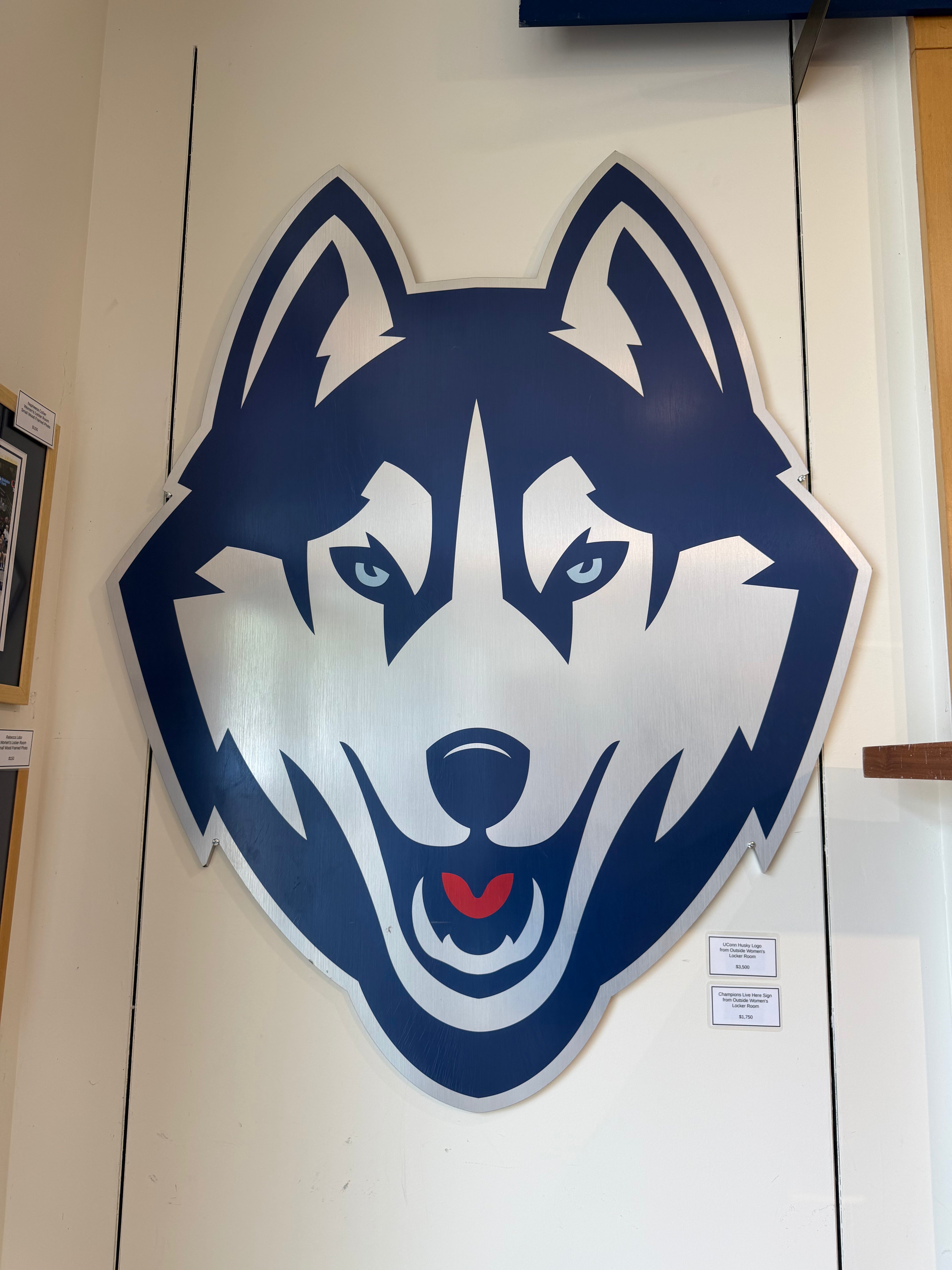 Metallic Husky Logo from Women’s Locker Room Exterior Wall