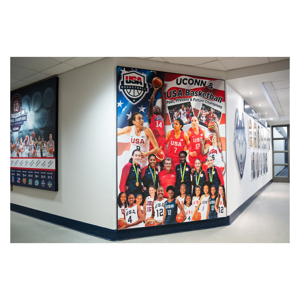 USA Women's Basketball Mural