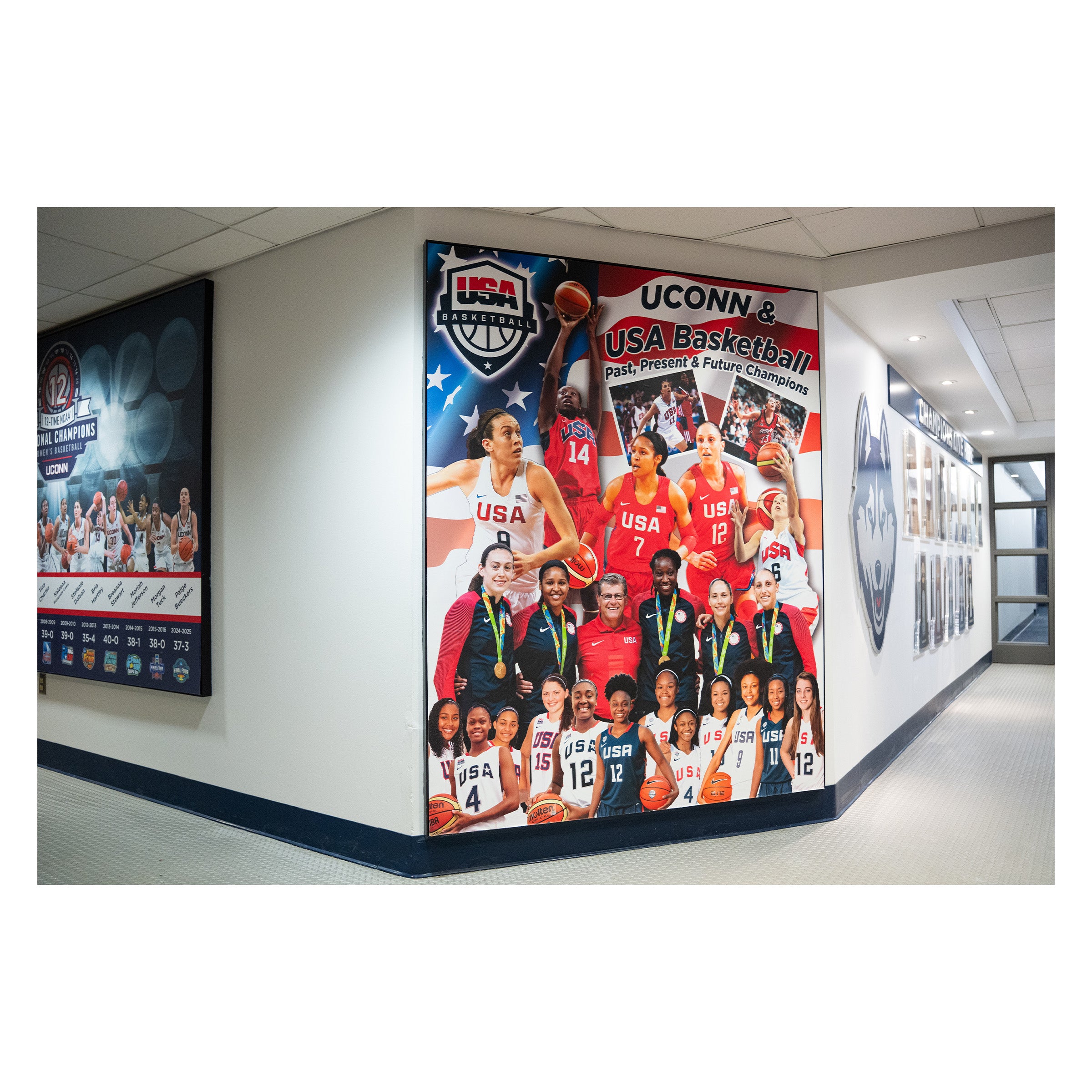 USA Women's Basketball Mural