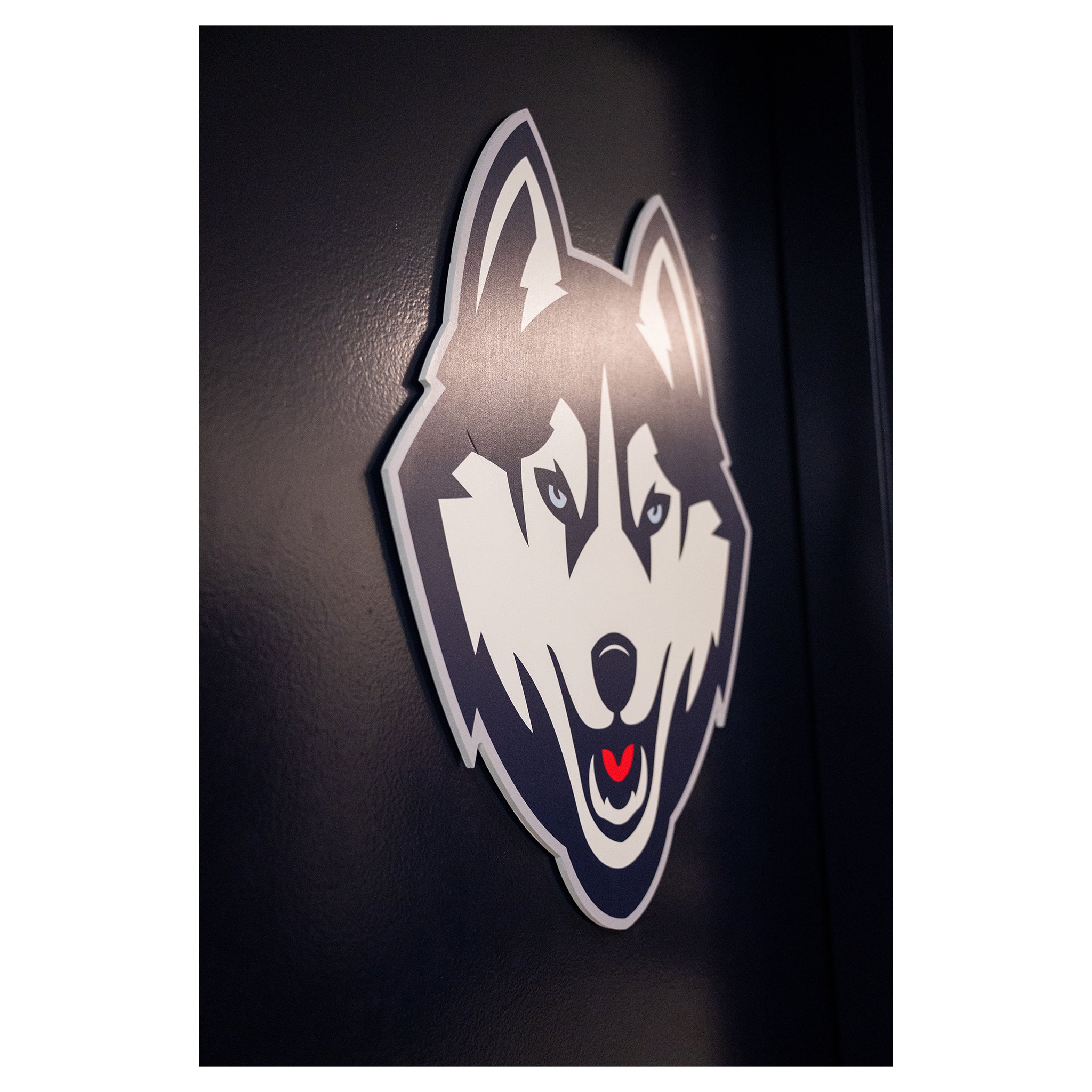 Gampel Pavilion Husky Head Wall Logo