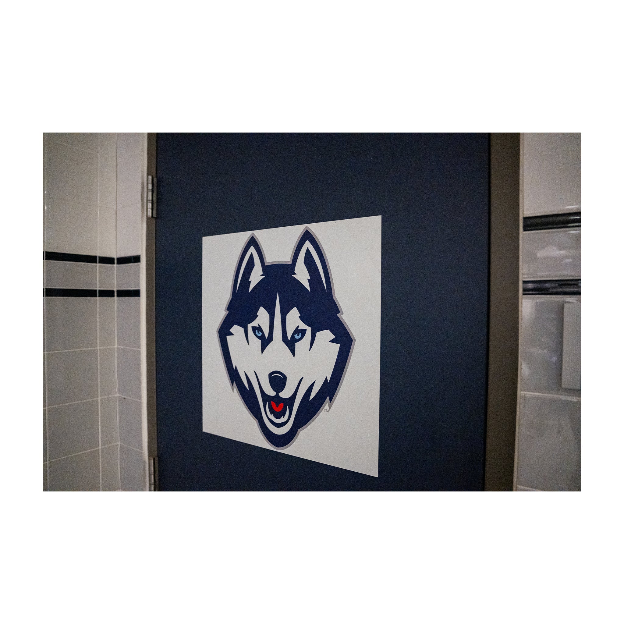 Women’s Locker Room Husky Head Large Magnet