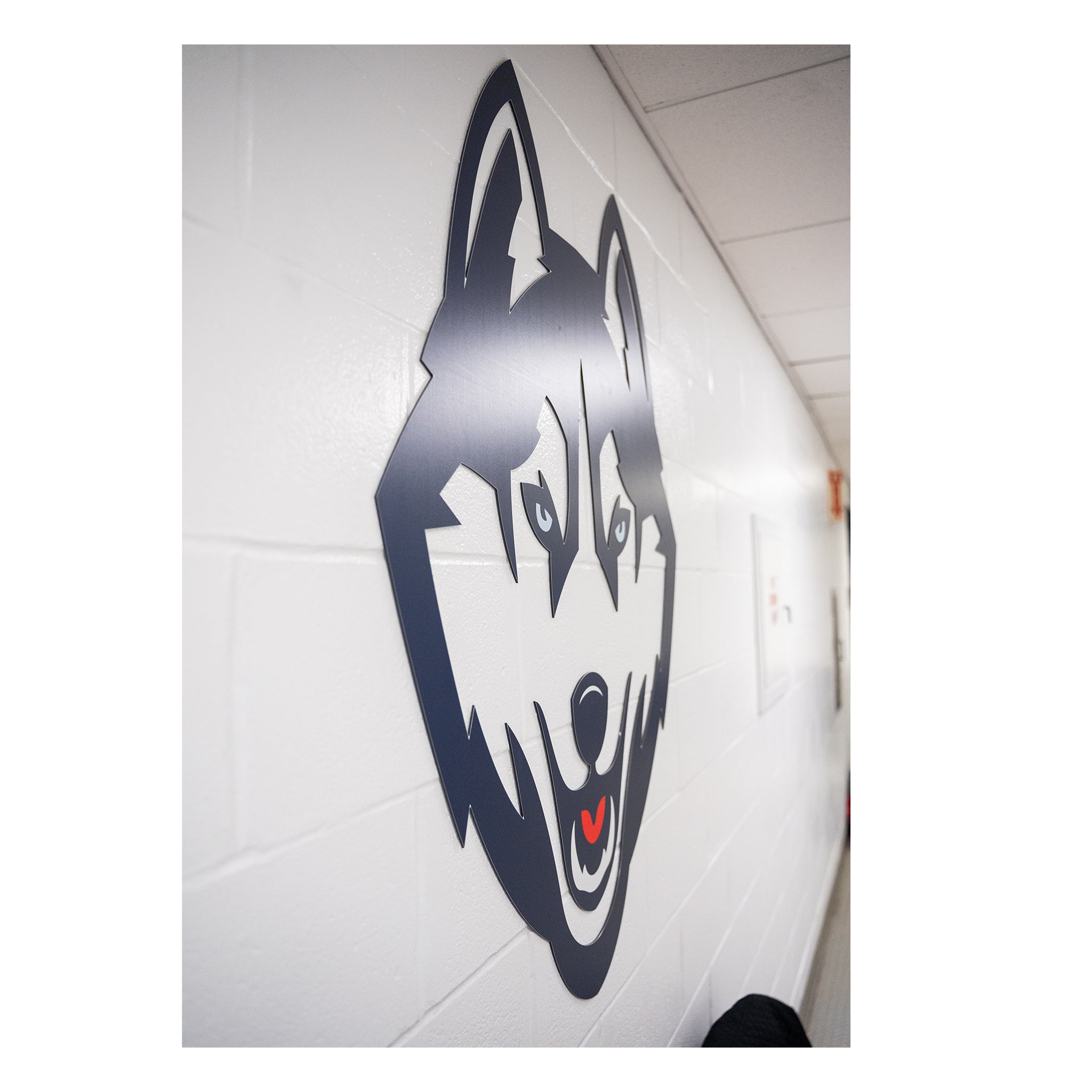Large Metallic UConn Husky Head Logo Artwork