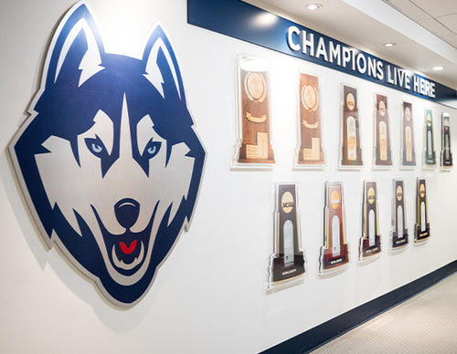 1995 NCAA Replica Championship Trophy Wall Art