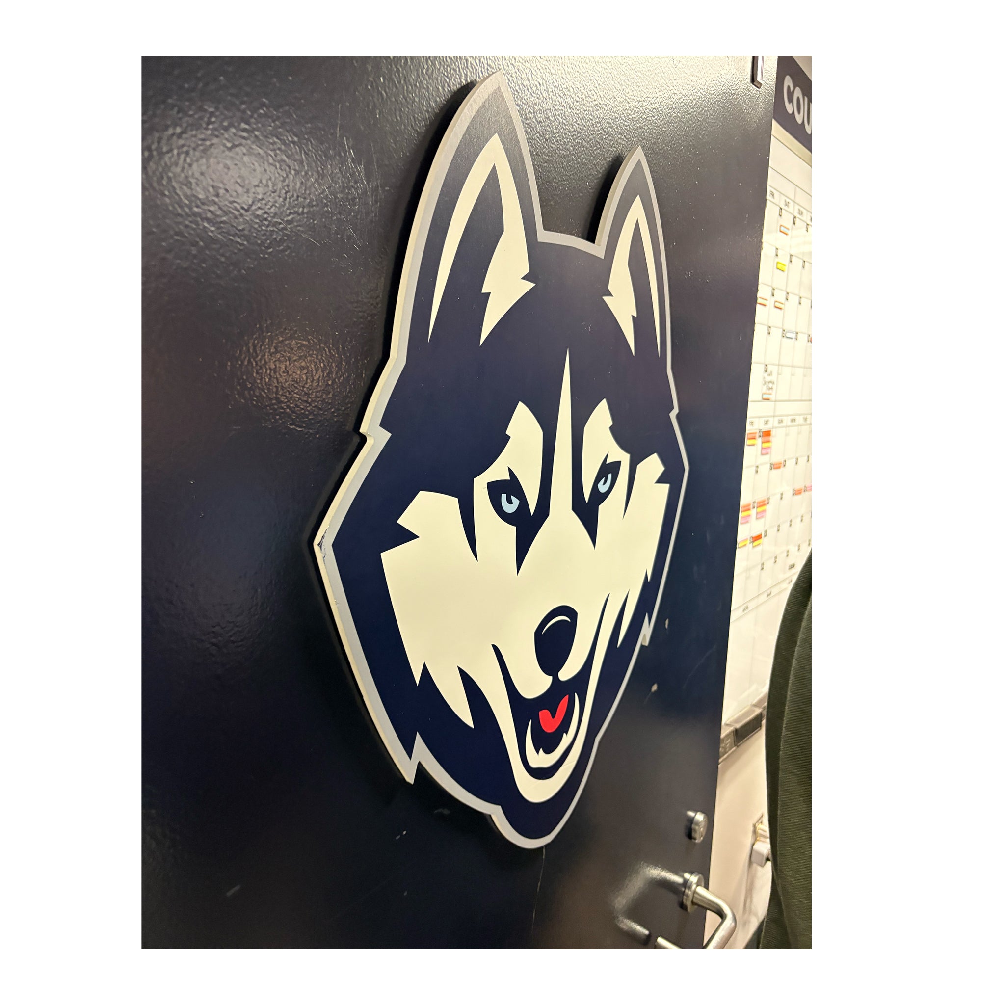 Gampel Pavilion Husky Head Wall Logo