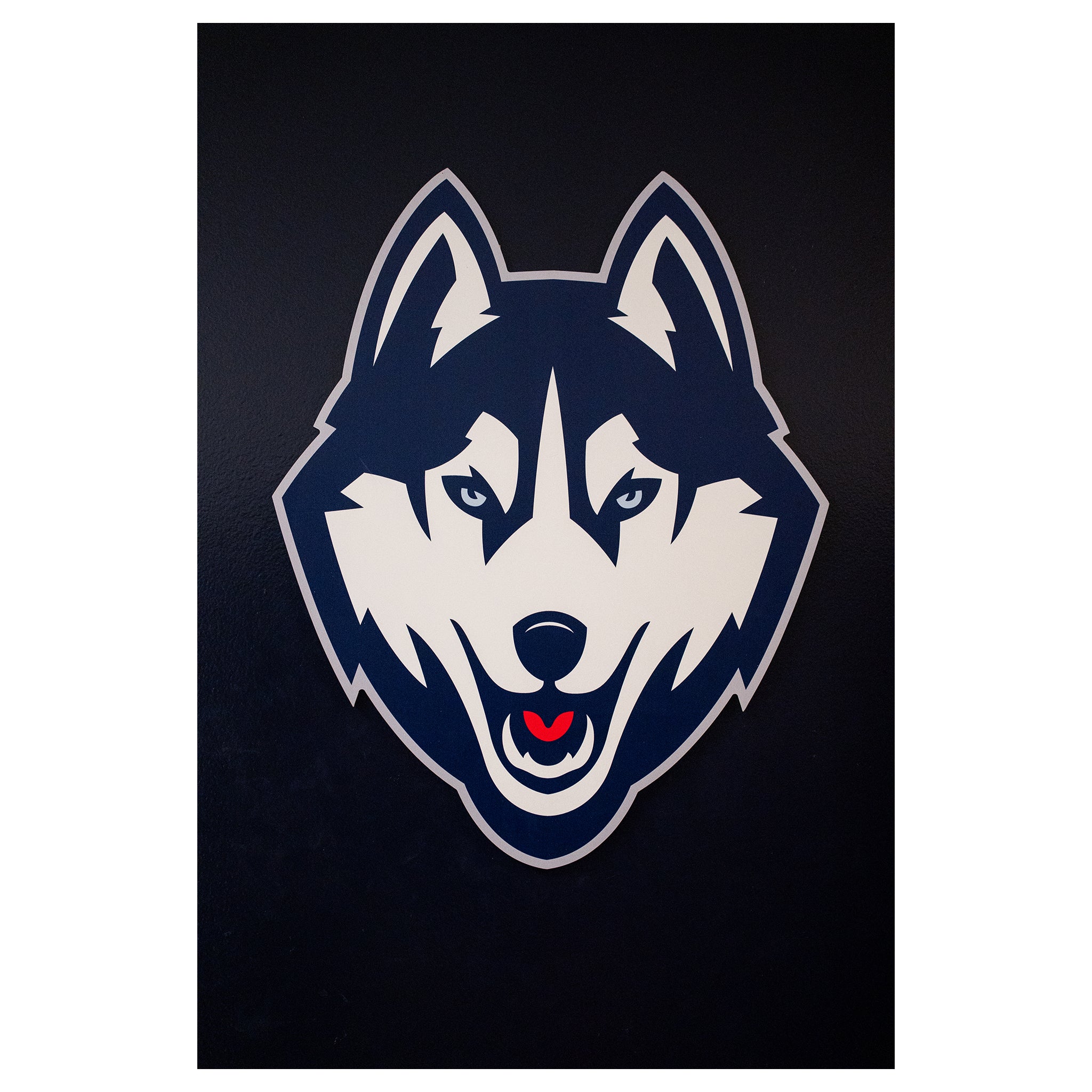 Gampel Pavilion Husky Head Wall Logo