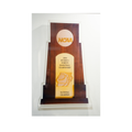 2004 NCAA Replica Championship Trophy Wall Art