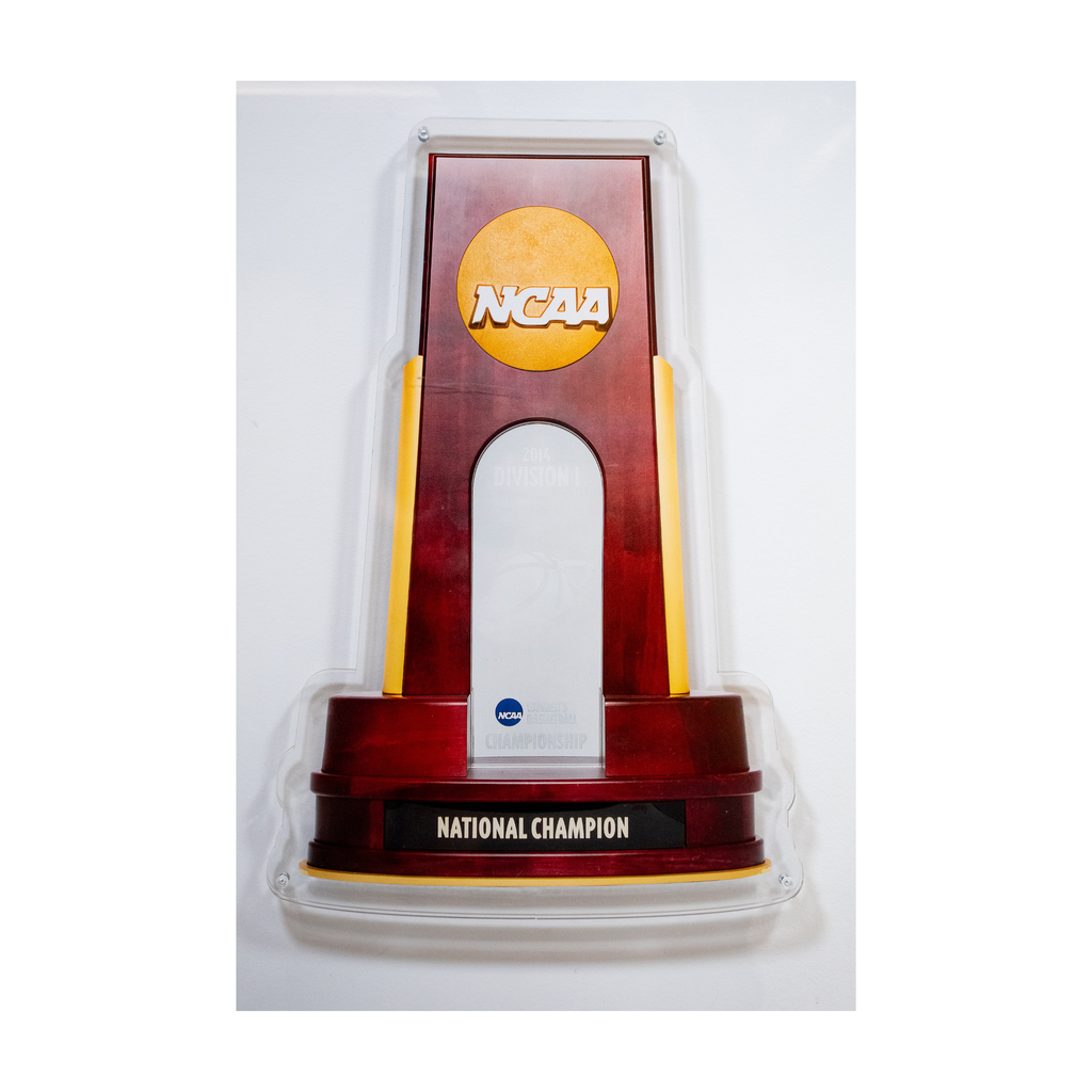 2014 NCAA Replica Championship Trophy Wall Art