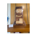 1995 NCAA Replica Championship Trophy Wall Art