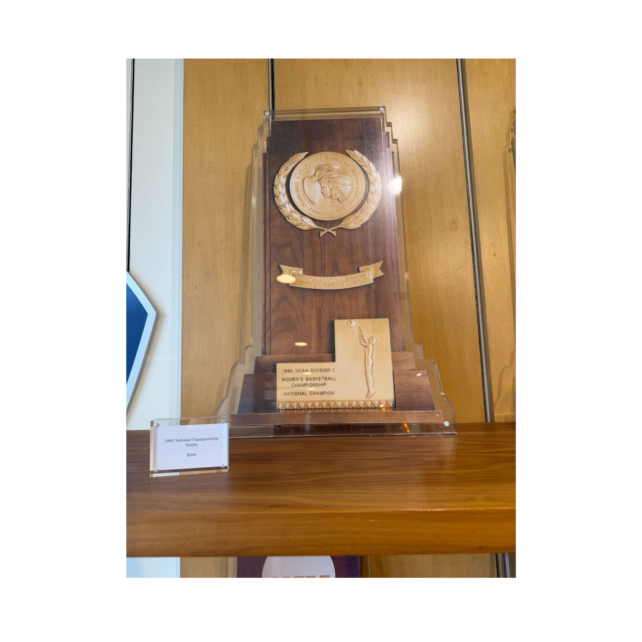 1995 NCAA Replica Championship Trophy Wall Art