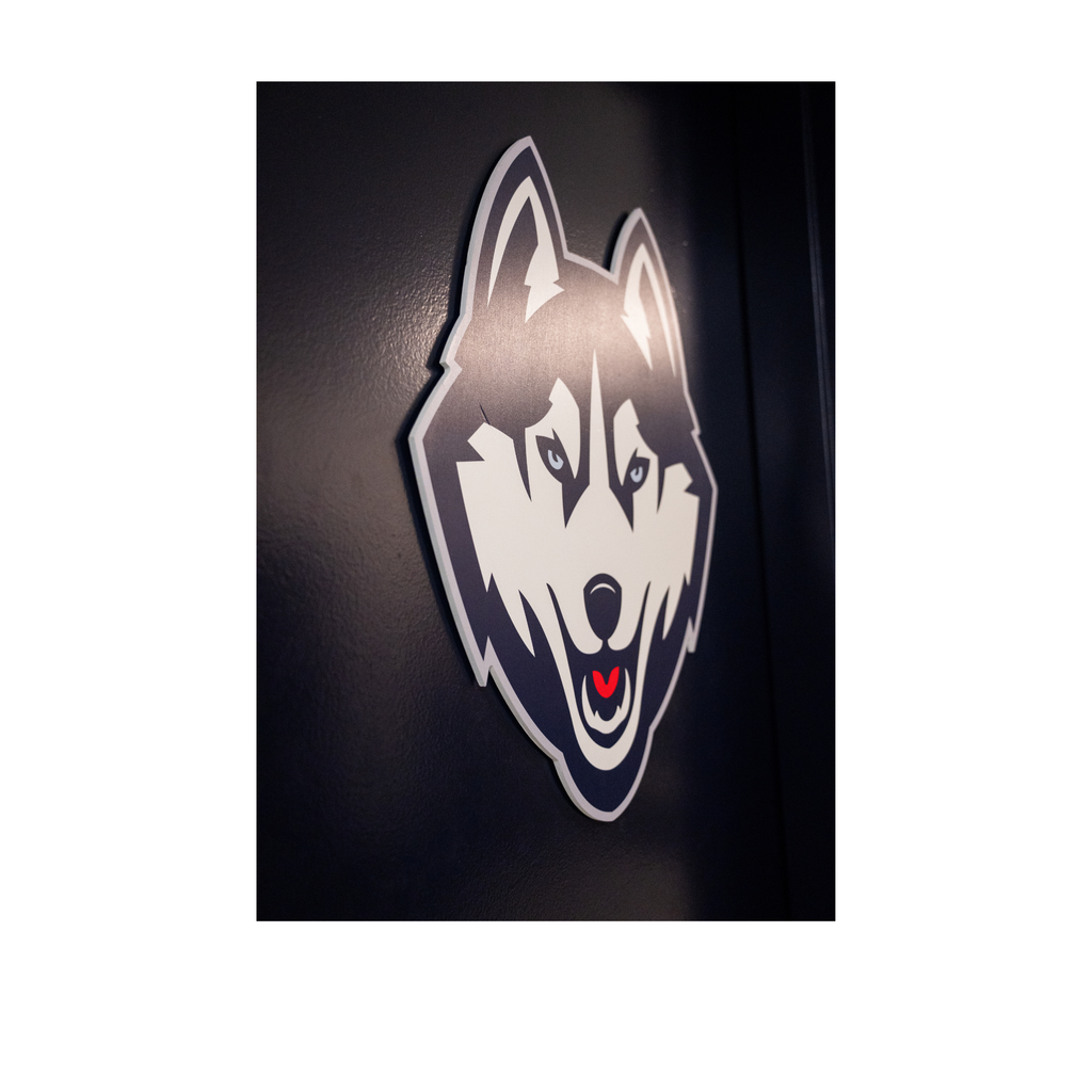 UConn Husky Logo from Athletic Training Room