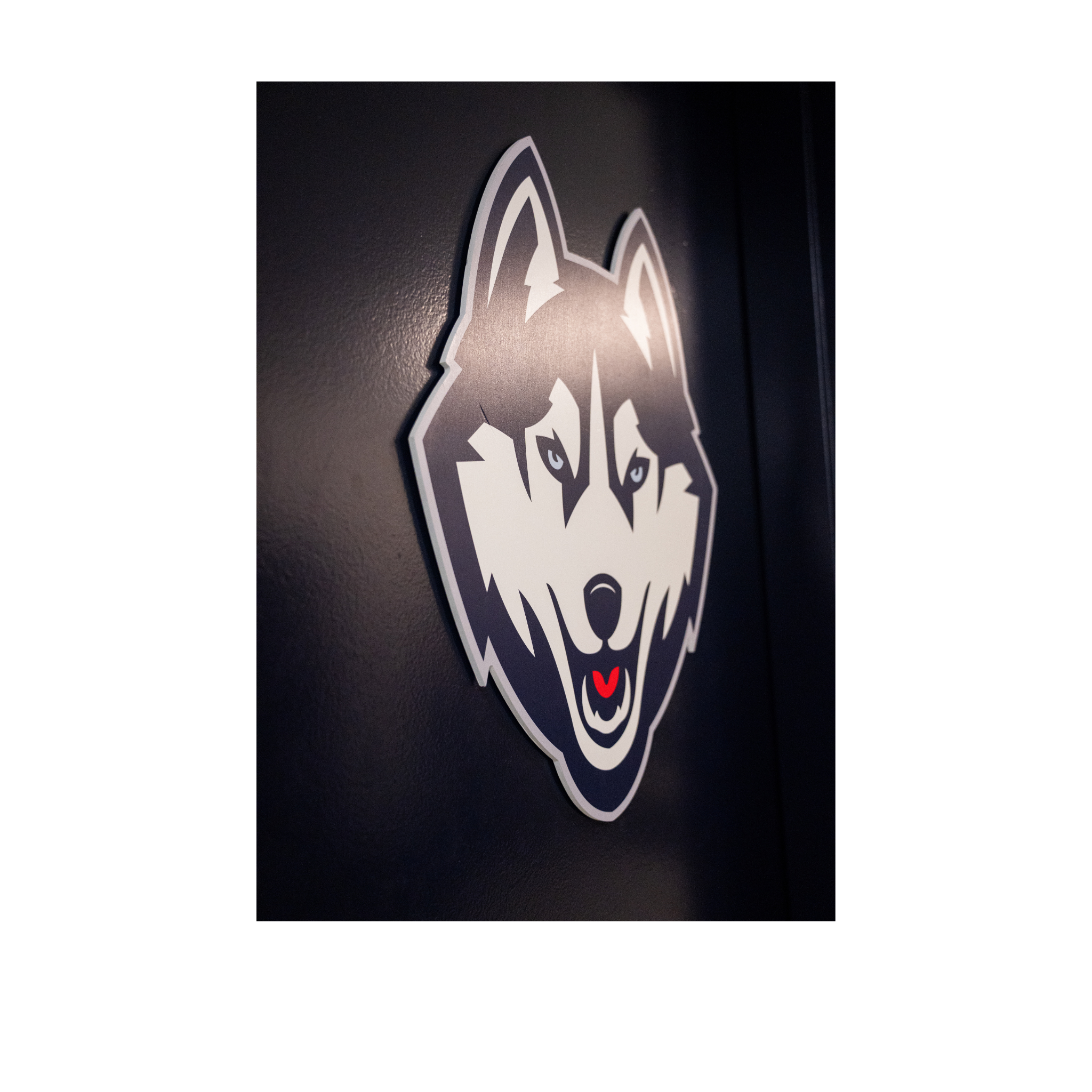 UConn Husky Logo from Athletic Training Room