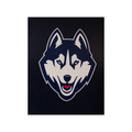 UConn Husky Logo from Athletic Training Room
