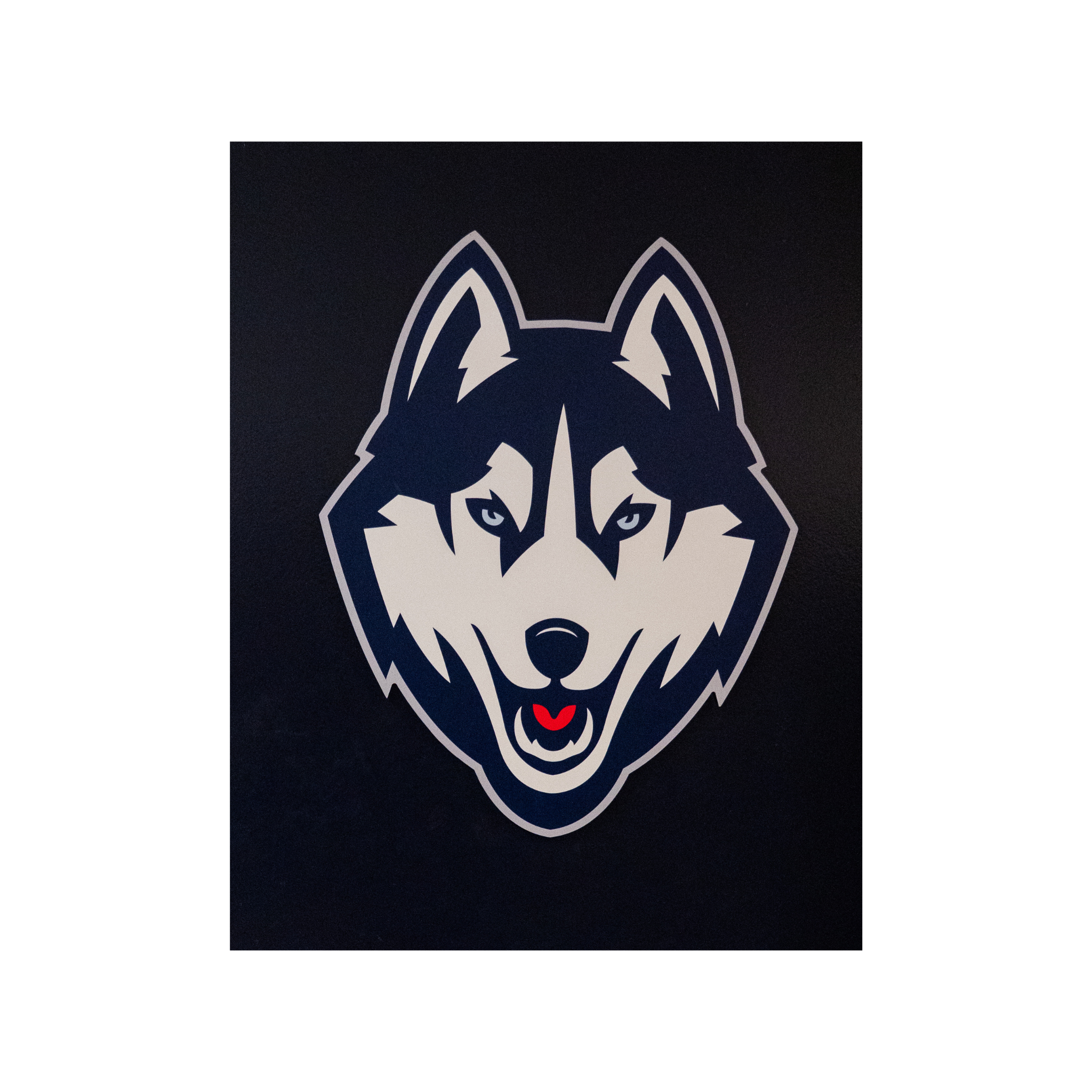 UConn Husky Logo from Athletic Training Room