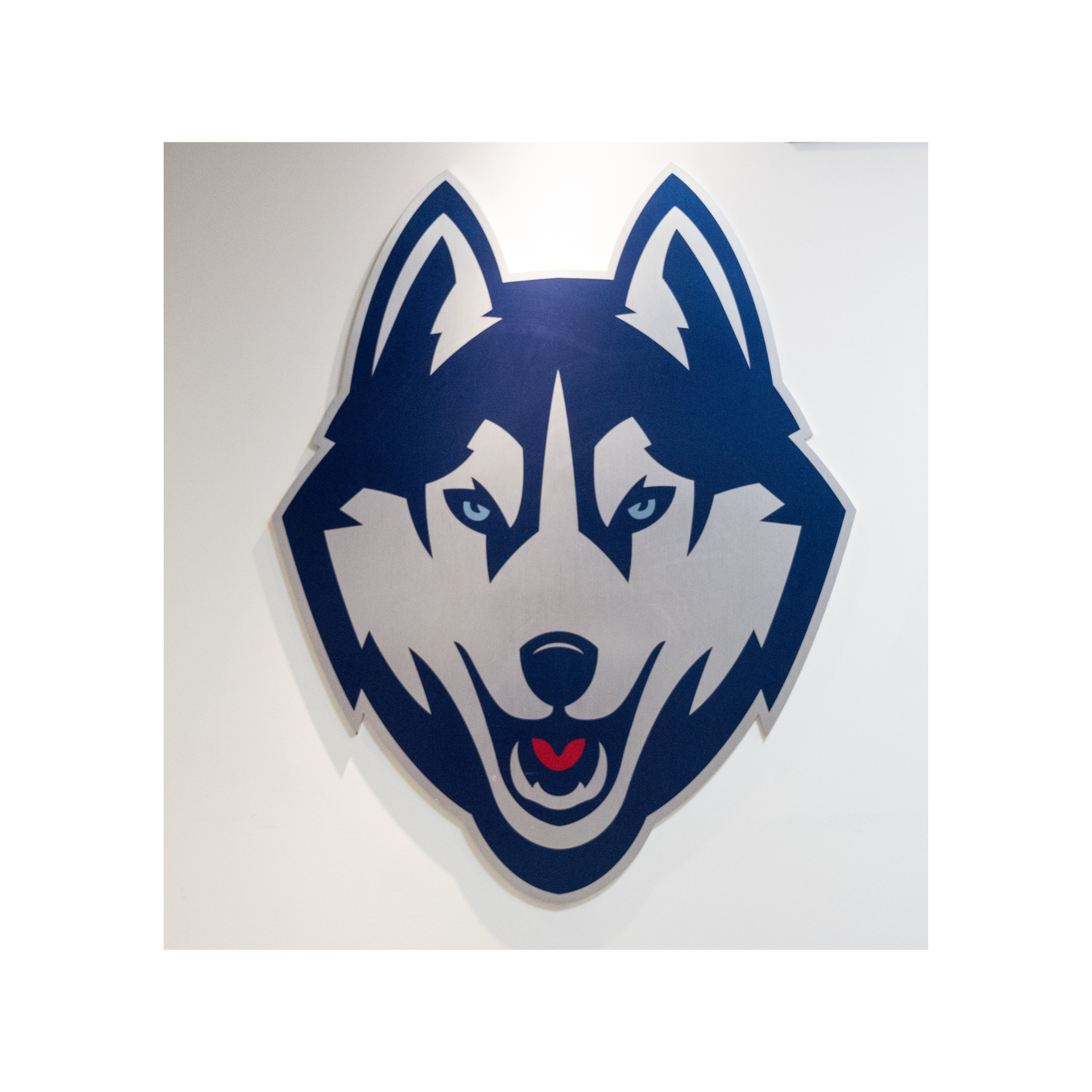 UConn Gampel Collection Drop 1 – CollectUConn