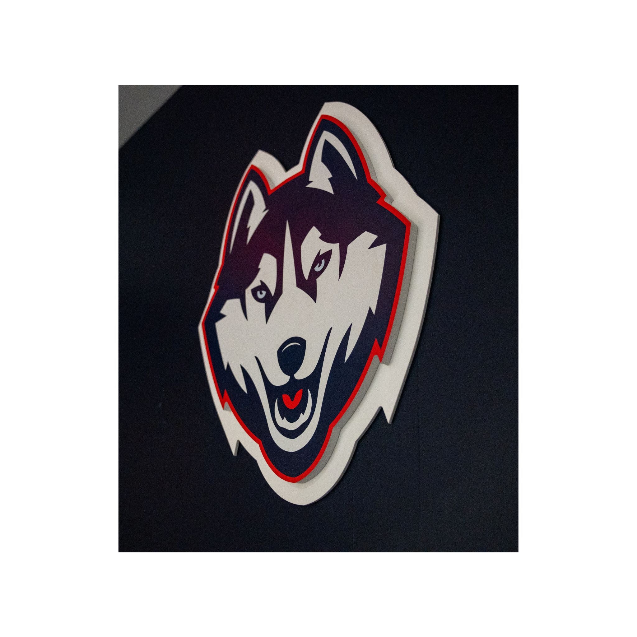 Through These Doors Letters & UConn Husky