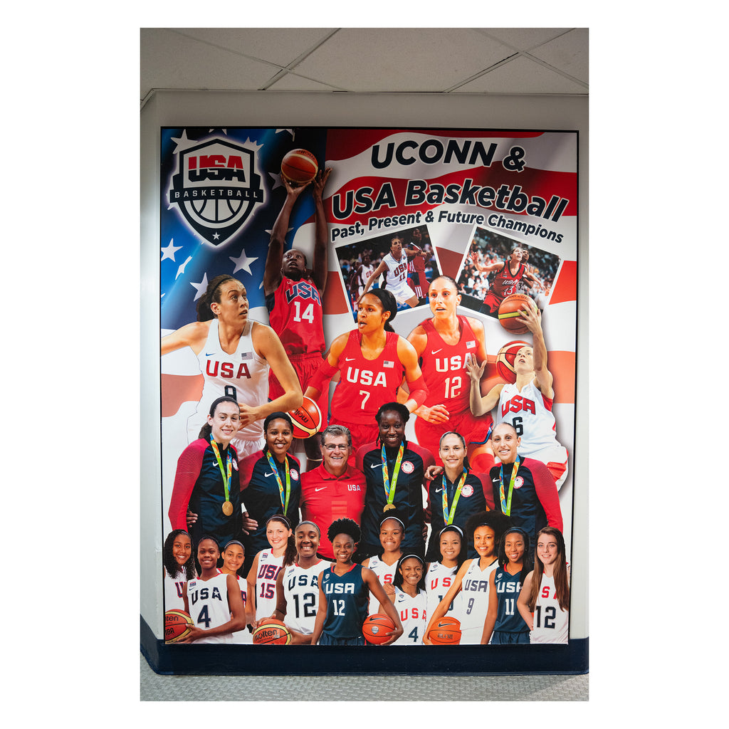 USA Women's Basketball Mural