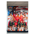 USA Women's Basketball Mural